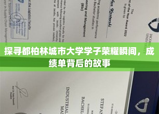 解码都柏林大学学子荣耀时刻，揭秘他们的成绩单背后的奋斗传奇