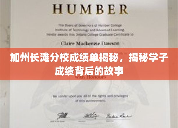 解码加州长滩学子，揭秘高分背后的奋斗轨迹