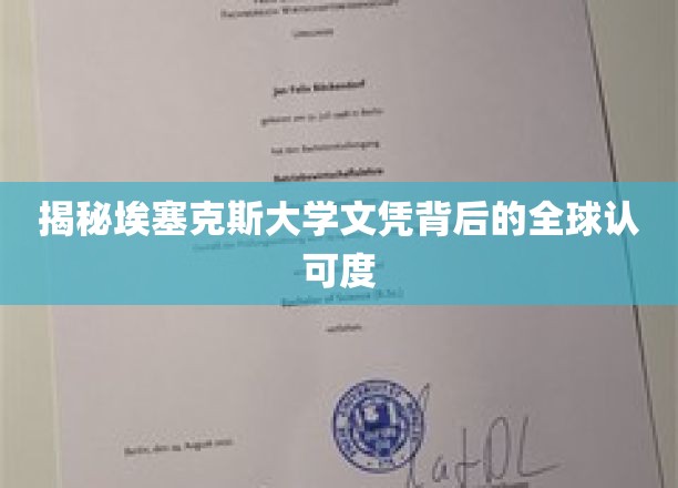 揭示埃塞克斯大学文凭的全球认可度