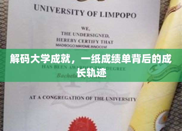 解码大学成就，一纸成绩单背后的成长轨迹