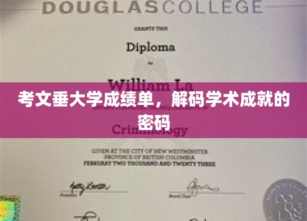 解锁学术卓越，考文垂大学成绩单背后的故事
