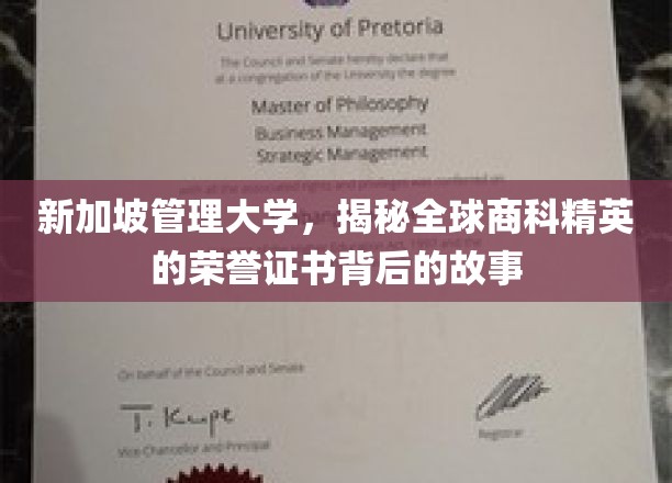 解码新加坡管理大学，商界精英荣誉证书背后的辉煌历程