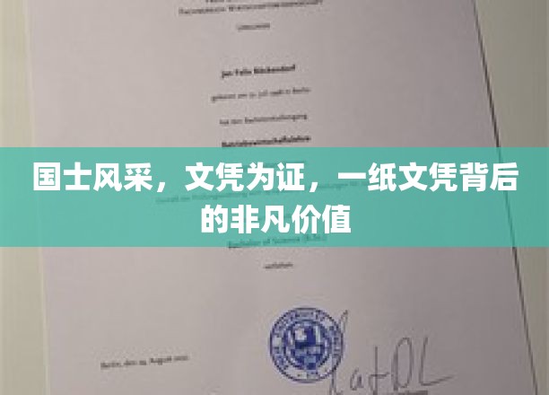 文凭荣耀，揭秘国士风华背后的珍贵印记