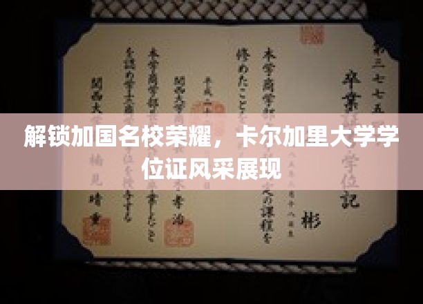加拿大名校风采揭秘，卡尔加里大学学位证书魅力全析