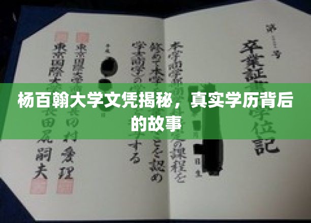 杨百翰大学文凭之谜，探寻真实学历背后的传奇故事