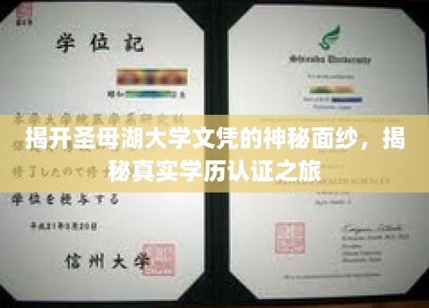 探寻圣母湖大学文凭背后的真相，一场揭秘学历认证的深度探索