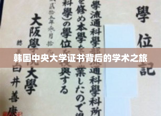 探寻韩国中央大学证书背后的学术传奇之旅
