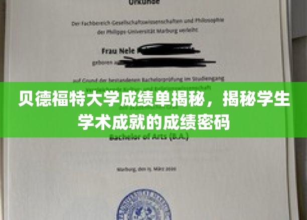 贝德福特大学成绩单揭秘，揭示学生学术成就的密码