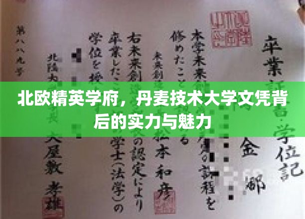 解码丹麦技术大学，北欧精英教育的实力与风采