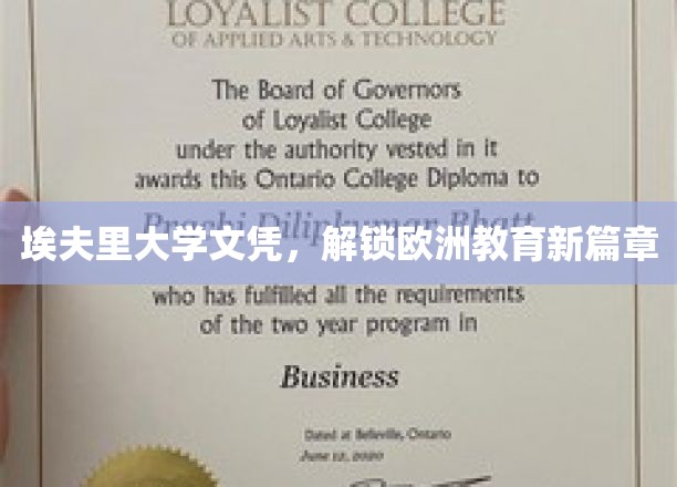 埃夫里大学文凭，引领欧洲教育新潮流