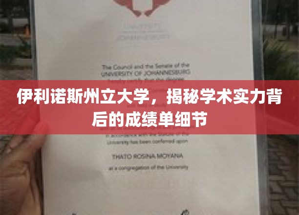 解码伊利诺斯州立大学，学术卓越背后的成绩单深度解析