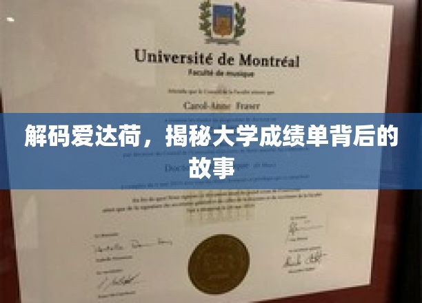 解码爱达荷，探寻大学成绩单背后的故事