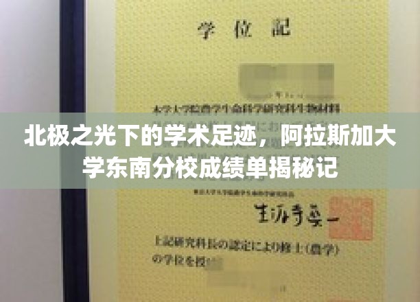 探寻北极之光下的学术奇迹，阿拉斯加大学东南分校成就大盘点