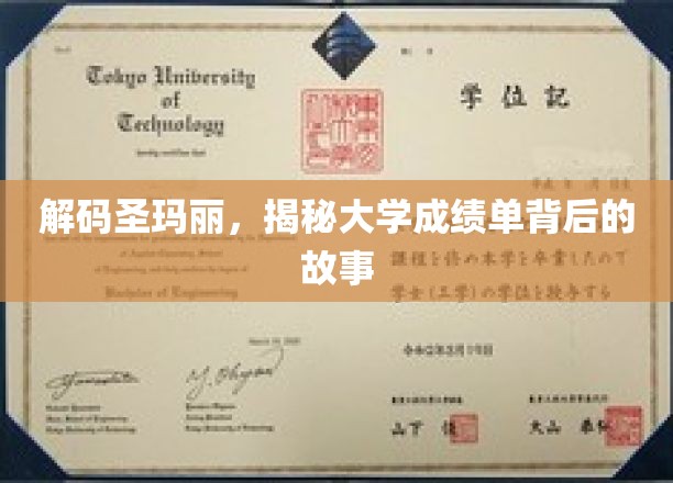 探寻圣玛丽背后的学术传奇，揭开成绩单的神秘面纱