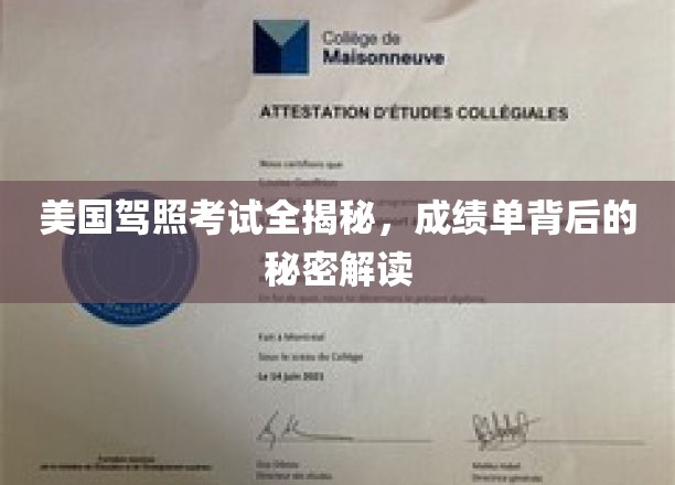 美国驾照考试全揭秘，成绩单背后的秘密解读