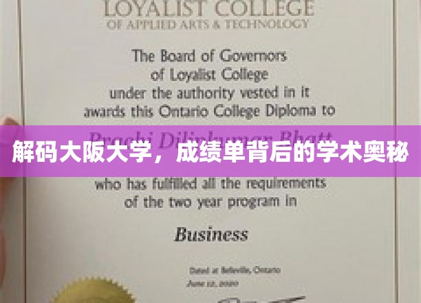 揭秘大阪大学：成绩单背后的学术魅力