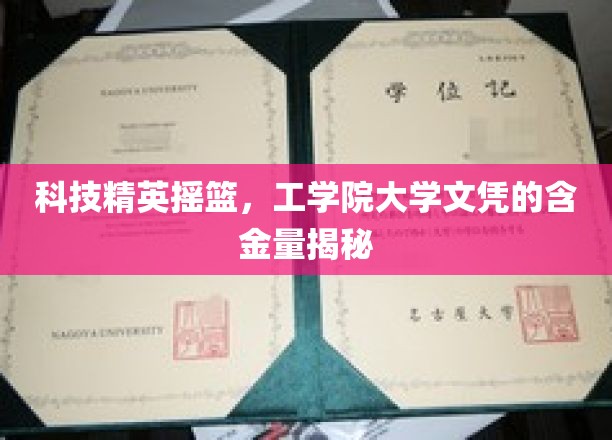 解码未来精英，工学院大学文凭的隐藏价值大揭秘