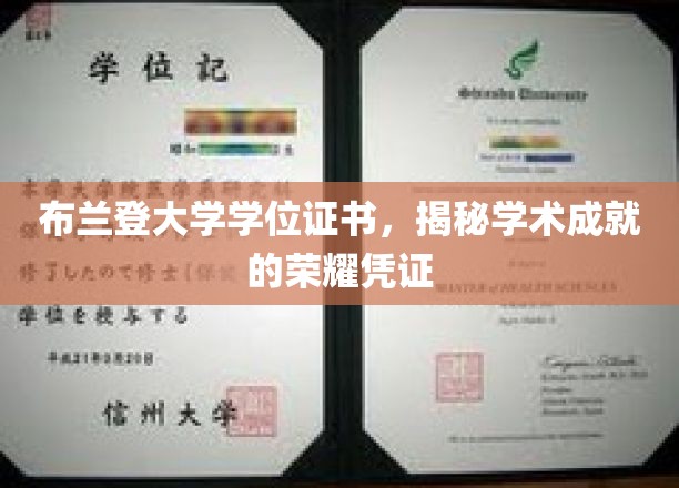 学位荣耀之路，一纸布兰登大学证书，见证你的学术巅峰