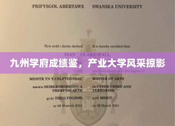九州学府耀绩榜，产业精英学府风采展