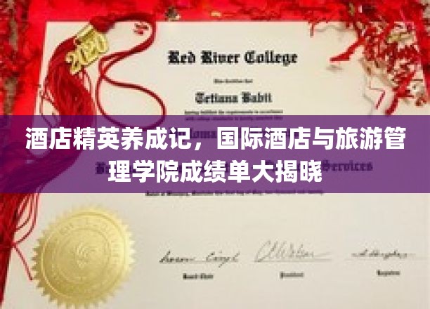 酒店精英养成记，国际酒店与旅游管理学院成绩单大揭晓