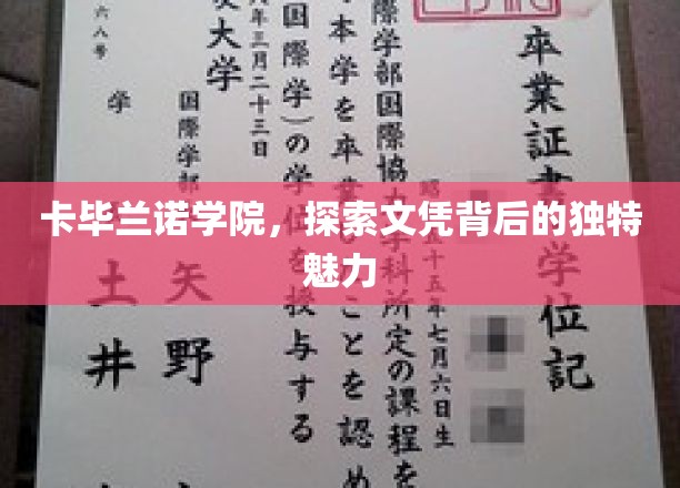 卡毕兰诺学院，探寻文凭的独特魅力
