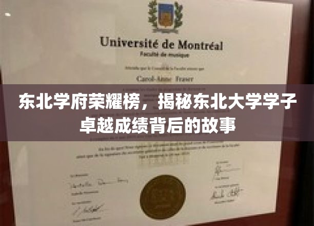 东北学府荣耀榜，探寻东北大学学子卓越成绩背后的故事