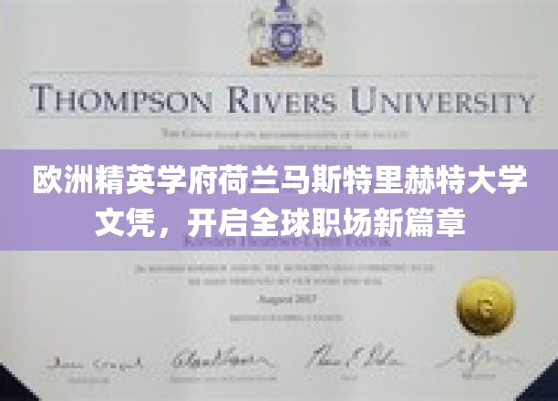荷兰马斯特里赫特大学精英文凭，助力职场全球飞跃新起点