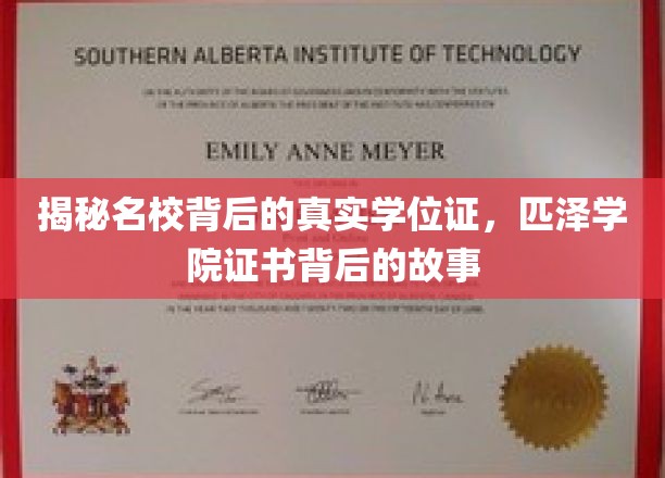 揭秘，匹泽学院学位证之谜，名校证书背后的不为人知故事