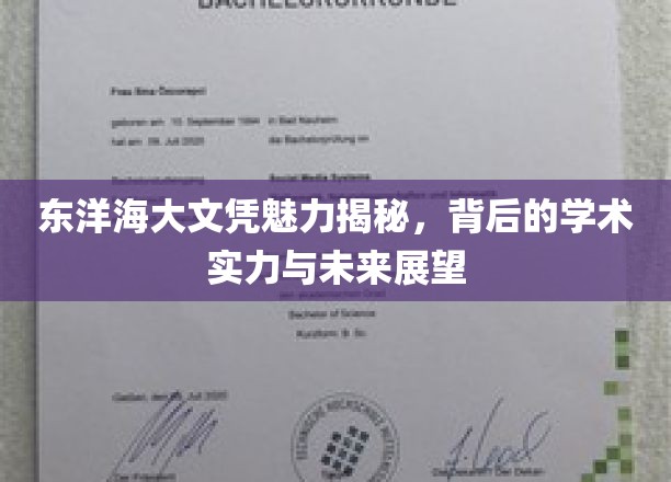 东洋海大文凭背后的学术光环，探秘实力与前景展望