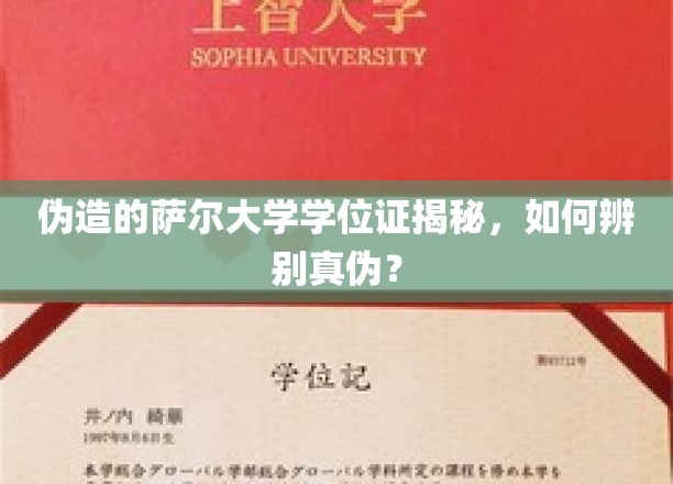 真假难辨，揭秘伪造萨尔大学学位证，教你轻松识破！
