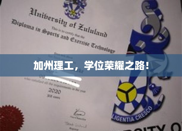 探索加州理工，揭秘精英学子荣耀成长之旅