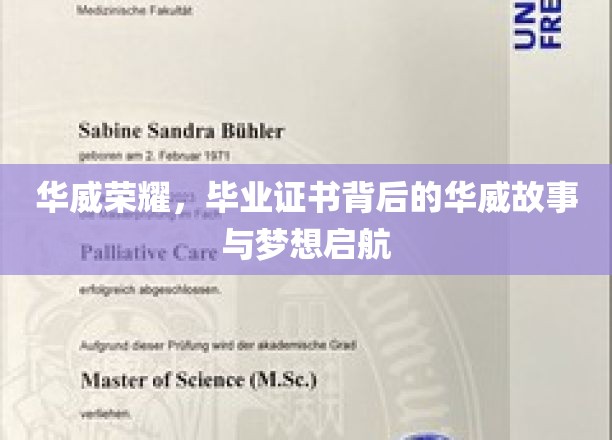 华威之光，证书背后的传奇旅程与未来梦想翱翔