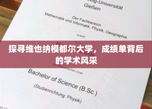探寻维也纳莫德大学，成绩单背后的学术风采