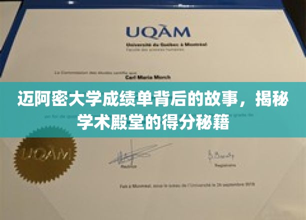 迈阿密大学成绩单揭秘，探寻顶尖学府的学术成就秘诀