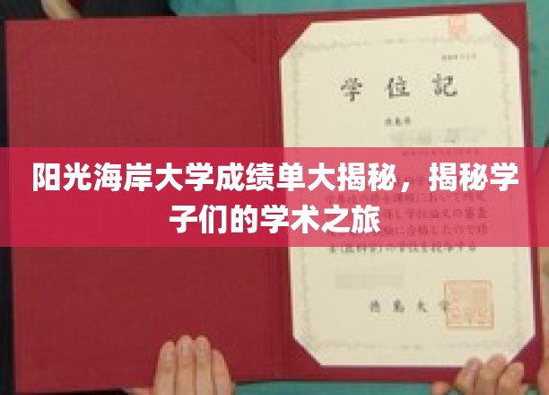 阳光海岸大学成绩单背后的学霸之路大曝光