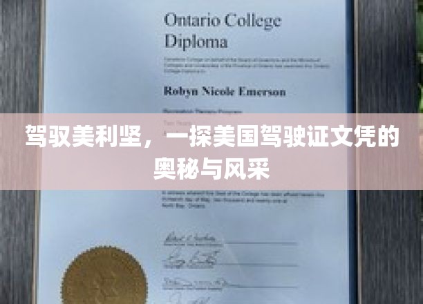 穿越美利坚的驾驶之旅，揭秘美国驾照背后的故事与魅力