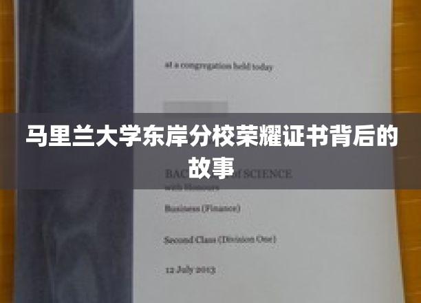 马里兰大学东岸分校荣耀证书背后的故事