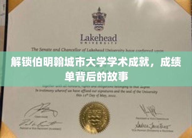 解锁伯明翰城市大学学术成就，成绩单背后的故事