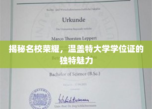 名校光环下的秘密，温盖特大学学位证的非凡魅力揭秘