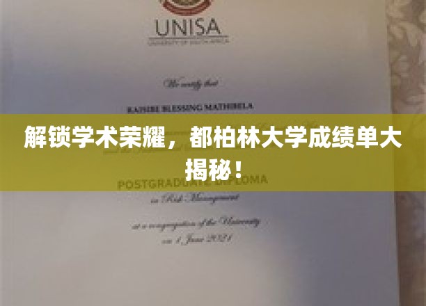 揭开都柏林大学学术巅峰，成绩单背后的秘密世界！