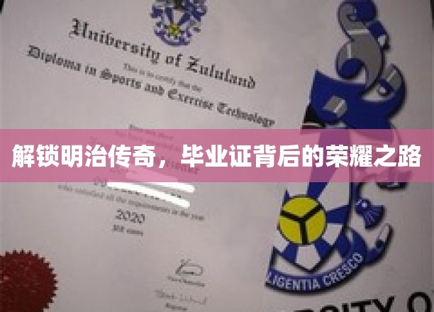 解锁明治传奇，毕业证背后的荣耀之路