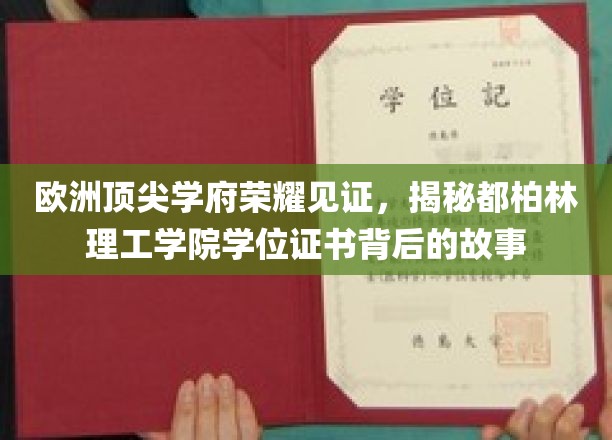 欧洲顶尖学府荣耀见证，揭秘都柏林理工学院学位证书背后的故事
