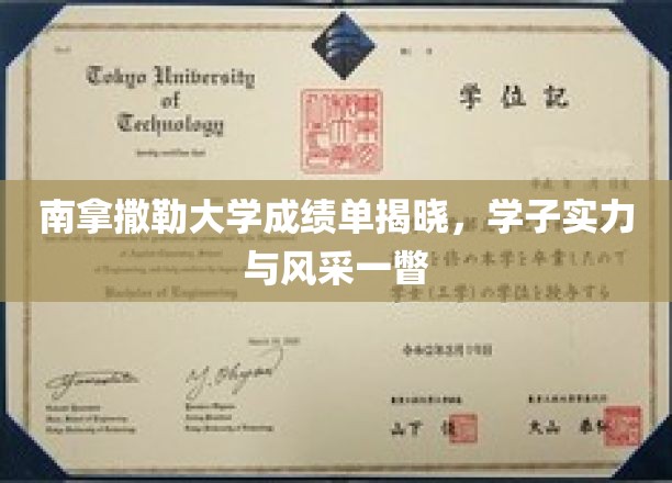 南拿撒勒学子荣耀时刻，成绩单映照卓越风采