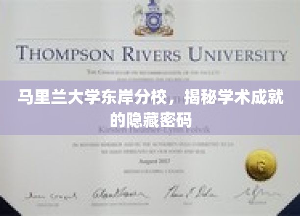 解码马里兰大学东岸分校，学术巅峰的秘密之门