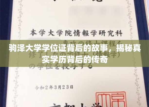 驹泽大学学位证，揭开学历传奇背后的神秘面纱