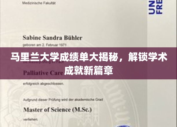 马里兰大学成绩单背后，揭开学子学术辉煌之谜