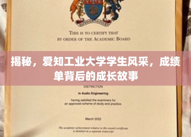 探秘工业大学，揭秘学子卓越成绩背后的青春足迹