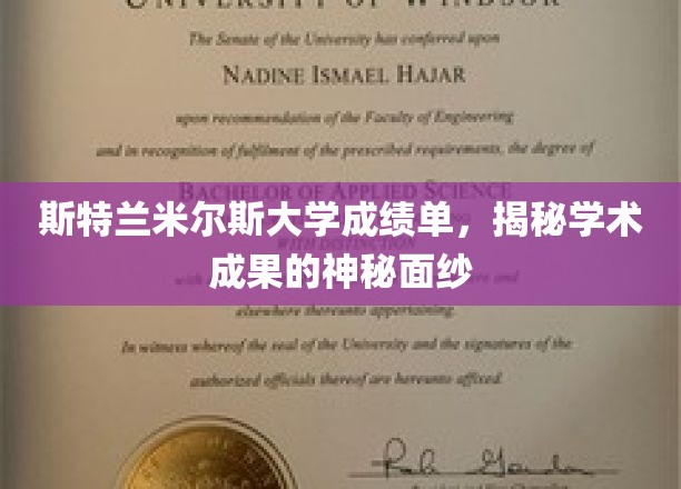 解锁斯特兰米尔斯大学成绩单背后的学术密码