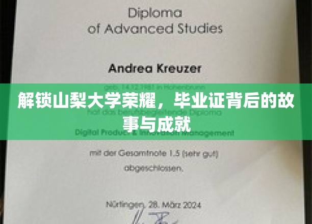 解锁山梨大学荣耀，毕业证背后的故事与成就
