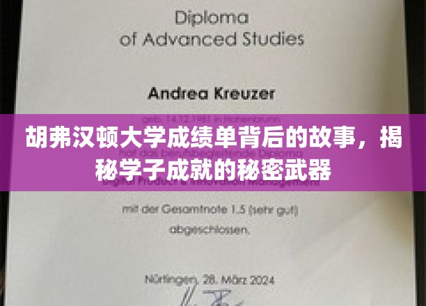 胡弗汉顿大学成绩单背后的故事，揭秘学子成就的秘密武器